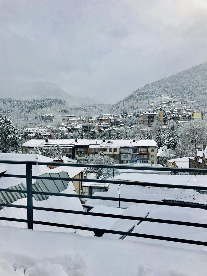 Borjomi Inn Eksteriør bilde